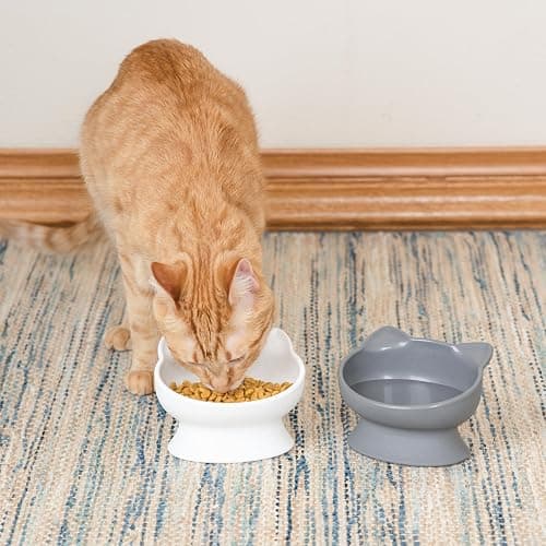 Kitty City Raised Cat Ear Bowls, Small Bowls 2pk (Modern) thumbnail 4