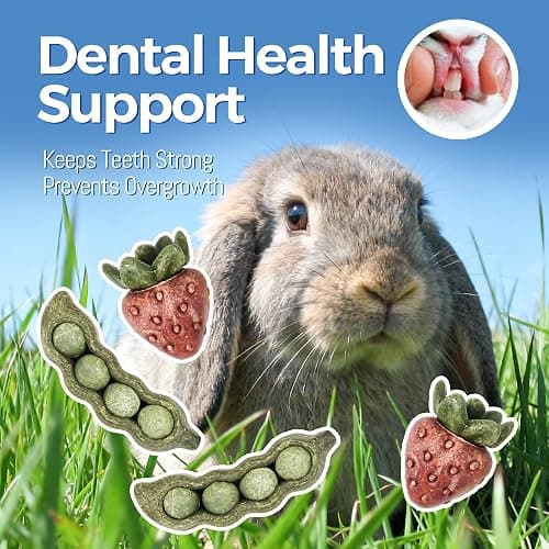 TEEWY 4PCS Guinea Pig Toys, Prevent Teeth Overgrowth, Natural Vegetables and Timothy Grass, Hamster Chew Toys, Guinea Pig Chew Toys, Chinchilla Toys, Peapod and Stawberry Chew Toy Set thumbnail 4
