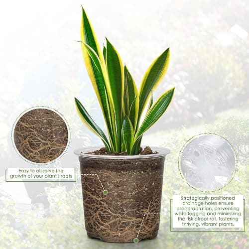 FUIJOL 4/5/6/7 Inch Clear Nursery Pots for Plants with Sacuers 20 Pack, Plastic Flower Pots with Drainage Holes, Variety Pack Seedlings Garden Pot for Indoor Outdoor (4+5+6+7 inch) thumbnail 4