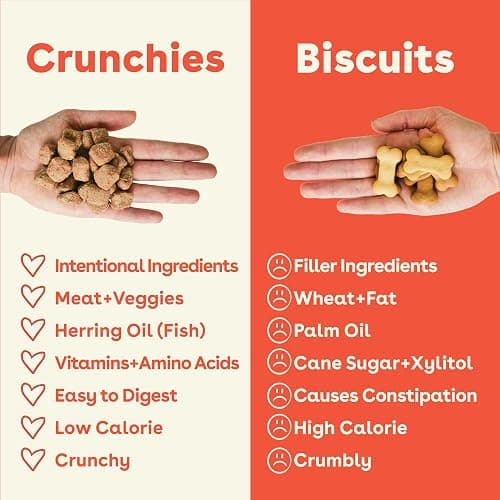 Pupford Crunchies, All-Natural, Healthy, Freeze Dried Treat for Dogs & Puppies (Chicken & Sweet Potato, 5 oz) thumbnail 3
