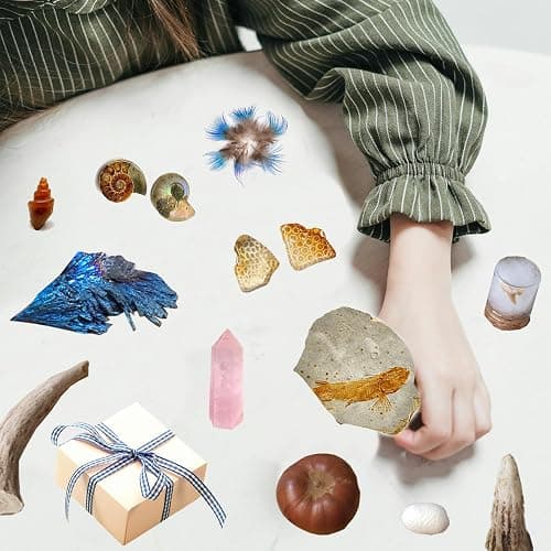 10Pcs Mystery Natural Oddities Collection Box - Real Fossils, Crystals & Taxidermy in Glass Vials | Dark Academia Decor for Adults & Kids | Witchy Curio Cabinet Decor | Unique Gifts for Science Lovers thumbnail 2