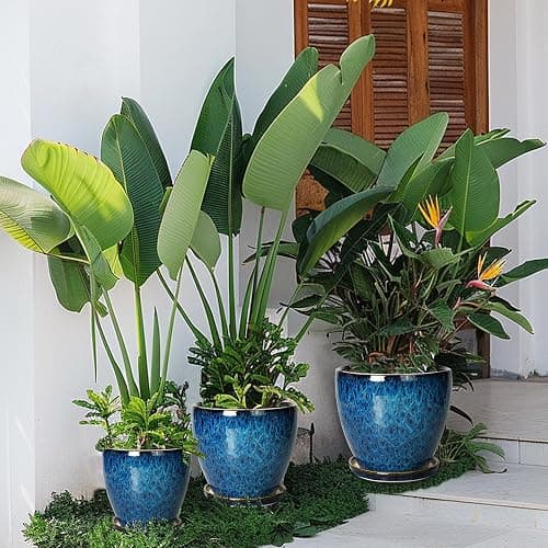 EPFamily Plant Pots Indoor, Ceramic Planters Pots with Drainage Holes and Saucers, 10+8+6 Inch, Set of 3, Round Large Flower Pots for Indoor Outdoor Plants, Blue thumbnail 7