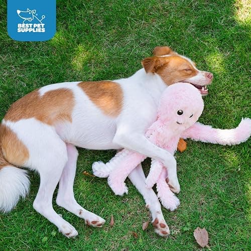 Best Pet Supplies Interactive Squeaky Dog Chew Toy, Ideal Dog Toys for Chewers, Small, Medium & Large Dogs, and Fetch Lovers - Octomutant (Pink), Large thumbnail 5