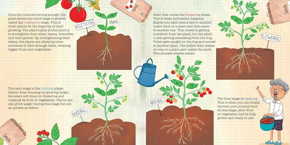 How Do Seeds Grow Into Gardens?: A Hands-On Book About Gardening thumbnail 7