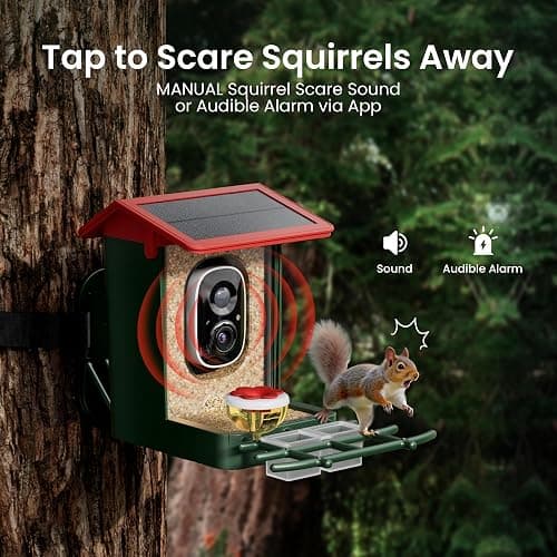 Smart Bird Feeder with Camera Solar Powered, 2K HD Video, AI Bird Species Identification, Instant Arrival Alerts, Weatherproof Design for Effortless Birdwatching, Best Gift for BirdLovers, Red thumbnail 8
