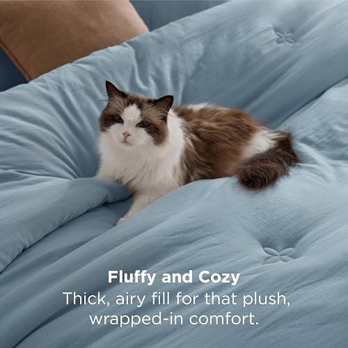 Bedsure Twin Comforter Set Mineral Blue, Soft Prewashed Twin Size Bedding, Quilted Comforter with Clover Design, Down Alternative Comforter for All Seasons, 2 Pieces Bed Set with 1 Pillow Sham thumbnail 4