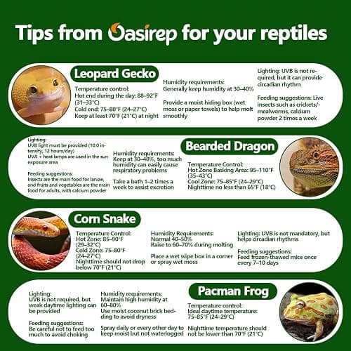 Oasirep 2-Pack Reptile Thermometer and Hygrometer – LCD Digital Temp & Humidity Monitor for Bearded Dragon, Gecko, Snake Tanks, Incubation Boxes, Indoor Pet Habitats thumbnail 5