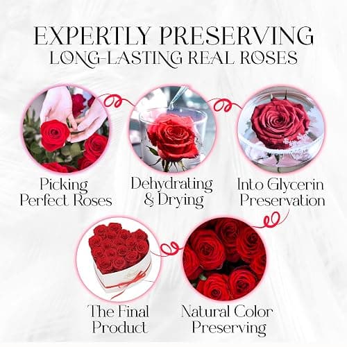 GLAMOUR BOUTIQUE Preserved Roses in a Box - Gifts for Her, Wife & Mom, Rose Flowers Forever Decor for Birthday Gift, Get Well Flower Bouquet Cased in White Box with Cover - Red - 16 (Color-Treated) thumbnail 8