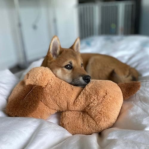 Snuggle Puppy Original Heartbeat Puppy Toy with Real-Feel Pulse & Heat Pack, Plush Dog Comfort Toy for Crate Training, First Nights & New Puppy Transition thumbnail 3