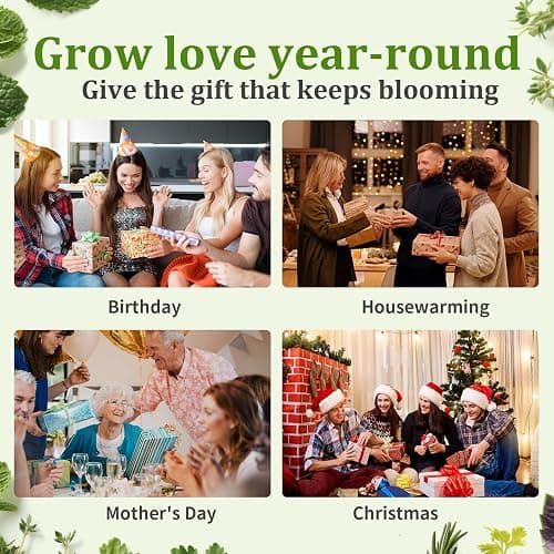 10-Set Indoor Herb Garden Starter Kit, 7 Seeds Growing into Basil, Parsley, Thyme, Mint, Cilantro, Dill, Oregano Including 10 White Pots, Markers, Nutritional Soil, Ideal Christmas Gifts for Women thumbnail 7