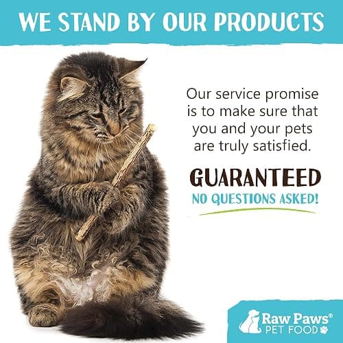 Raw Paws Silvervine Sticks for Cats (30-Count) - Dental Cat Chew Stick | Catnip Alternative - Matatabi Cat Toy - Silver Vine Sticks - Indoor Cat Enrichment & Chewing thumbnail 7