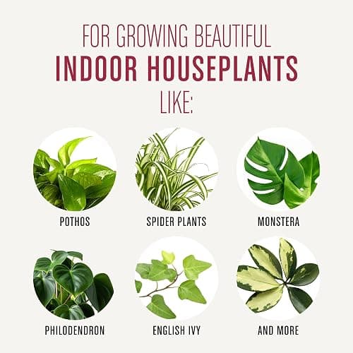 Miracle-Gro Houseplant Potting Mix: Fertilized, Perlite Soil for Indoor Gardening, Designed to Be Less Prone to Gnats, 4 qt. thumbnail 7