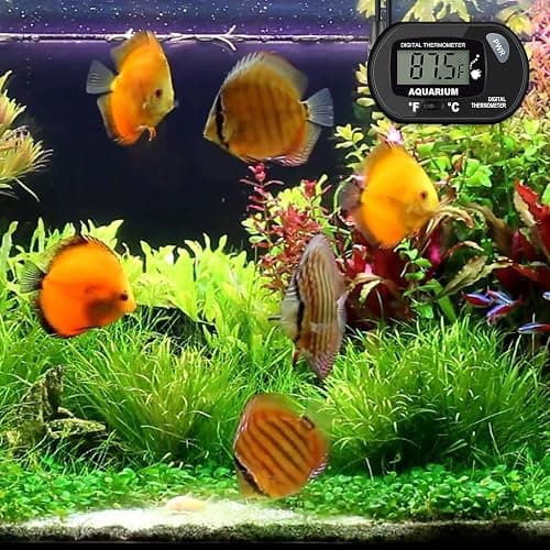 2 Pack Aquarium Thermometer, Digital Fish Tank Thermometer with Submersible Probe, Reptile Terrarium Thermometer with Large LCD Display and Suction Cup thumbnail 9