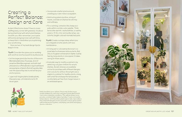 More Than Just a Plant: How to Care for Your Plants as They Care for You thumbnail 10