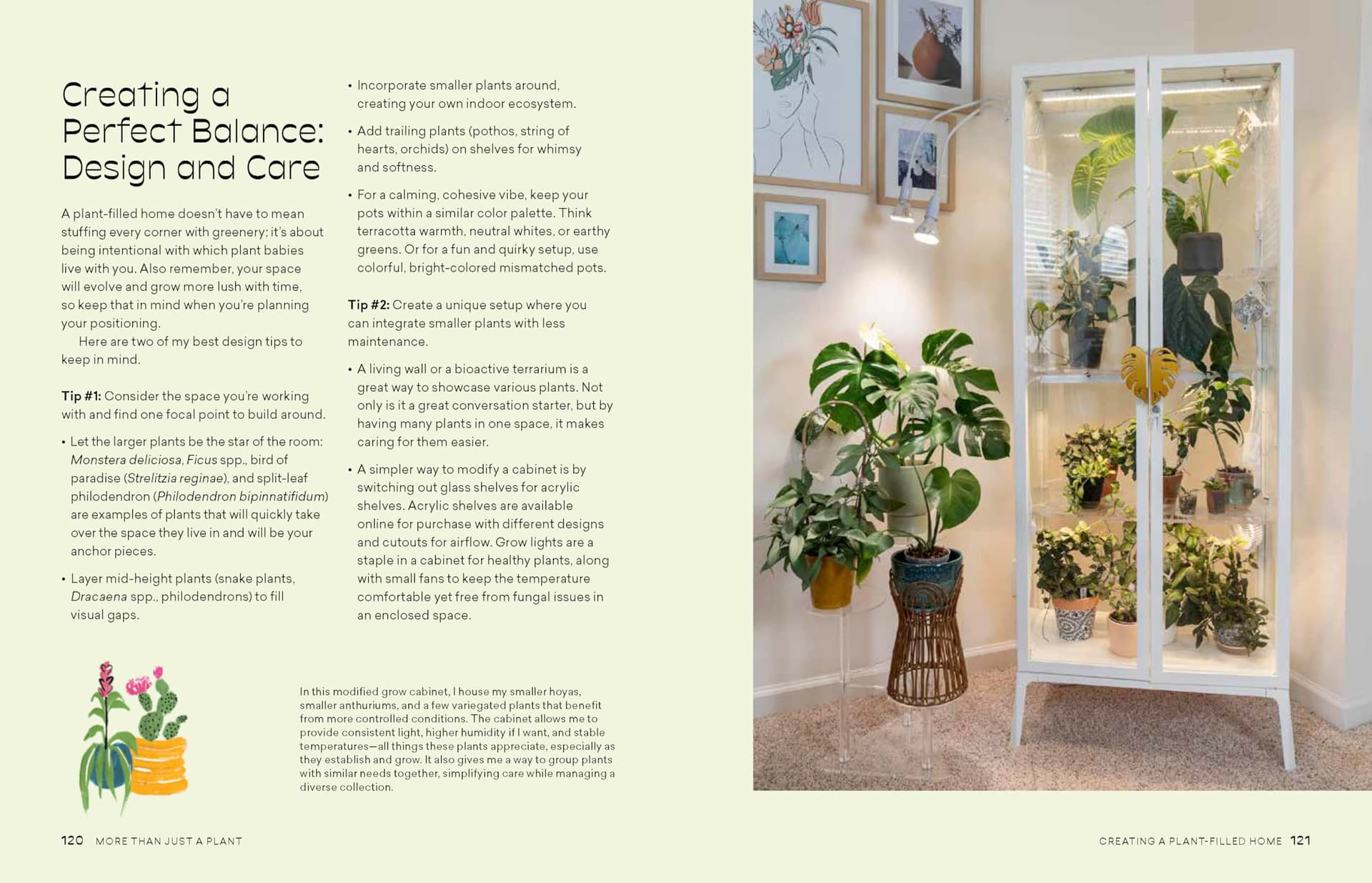 More Than Just a Plant: How to Care for Your Plants as They Care for You thumbnail 9
