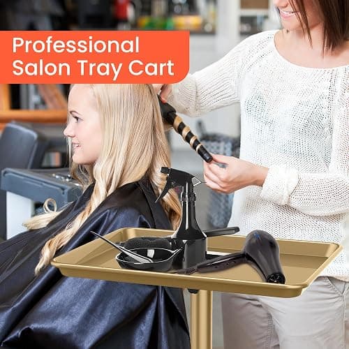 TASALON Premium Salon Tray on Wheels, Aluminum Salon Rolling Tray Trolley for Salon Essentials, Adjustable Height Provides Ample Storage for Hairstylist Tray, Tattoo Tray and Clinic Tray Use - Gloden thumbnail 6