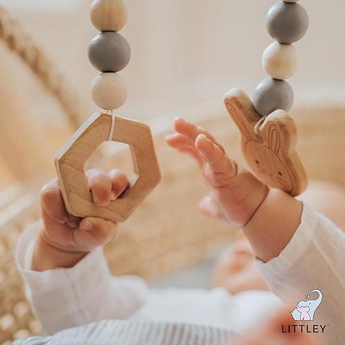 Littley Toy & Surface Cleaner | 8 oz | Alcohol-Free HOCl Spray for Baby Toys & High-Touch Surfaces | Fragrance-Free Formula | Gentle Cleaning for Everyday Messes thumbnail 8