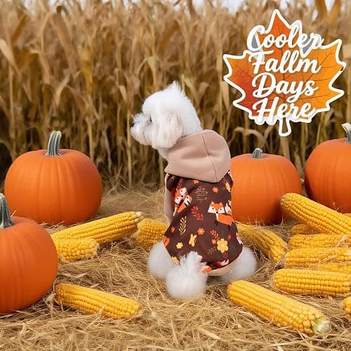 EXPAWLORER Fall Dog Hoodie,Thanksging Dog Sweater Costume,Winter Autumn Fleece Sweatshirt with Pattern,Pet Clothes Outfits for Puppy,Cat, Small Medium Large Dogs thumbnail 7
