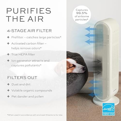 Conair Air Purifier, HEPA Air Filter, Purifier for Allergies, Dust, Pollen, Odor Control,Medium Sized Rooms up to 200 Sq. Ft. thumbnail 3