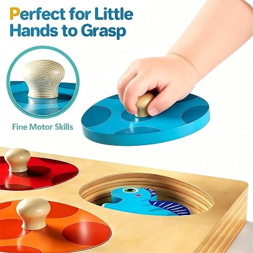 Montessori Toys for 1 2 Year Old Boys Girls Gifts: Wooden Shape Sorter & Color Match Baby Puzzles 12-18 Months - Dinosaur Matching Eggs Peg Puzzle for 1 2 Year Old Toddler Learning Activities thumbnail 5
