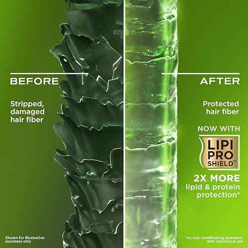 OGX Refreshing Scalp with Rosemary Mint Shampoo, Clarifying Blend to Remove Excess Oil and Residue, Clears Away Buildup, Sulfate Free, 385ml - Rosemary Mint Shampoo thumbnail 3