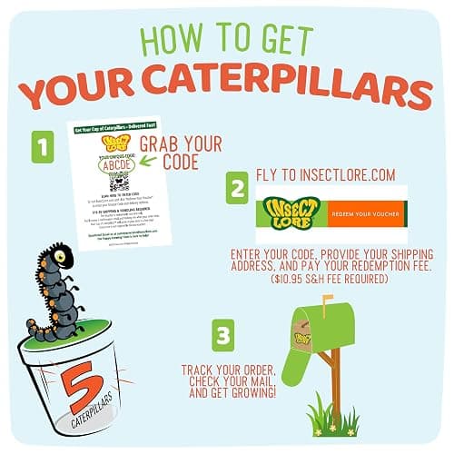 Insect Lore Raise and Release Butterfly Garden Kit – Caterpillar Habitat with redeemable Voucher – STEM-accredited Butterfly Growing Kit for Kids, Classrooms, and Homeschool Learning thumbnail 4
