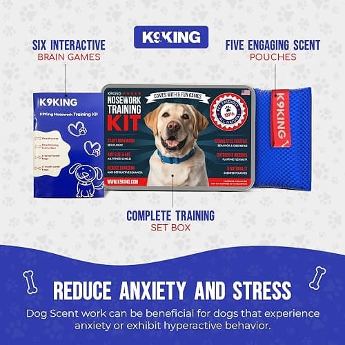 Interactive Dog Scent Training Kit Fun - Nose Work for Dogs, Hide and Seek Dog Toys, Enhance Dog Brain Games, Nose Scent work Games for All Ages Dog, Dog Scent Training Box, Scent Work Kit for Dogs thumbnail 6