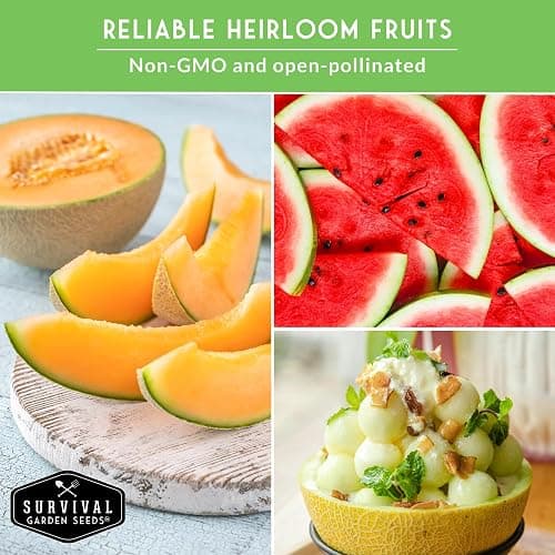 Fruit Seeds for Planting 8 Variety Pack - Non-GMO Heirloom Fruits | Watermelon, Cantaloupe, Melon, Strawberry, Ground Cherry for Home Vegetable Gardens - Survival Garden Seeds thumbnail 6