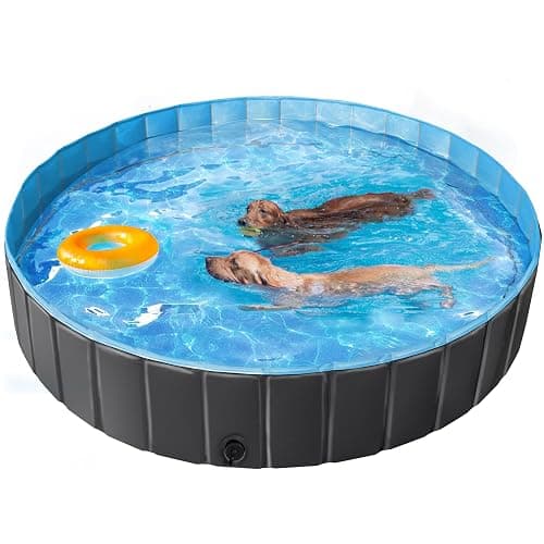 Piscine pliable - Image 1