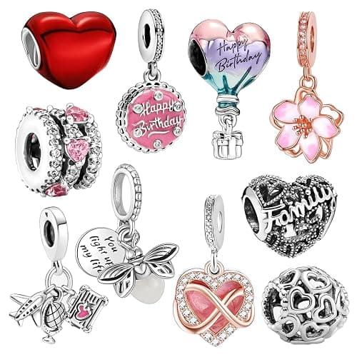 WANIUS 10 Pack Silver Charms for Pandora Bracelets and Necklaces Charms for Women CZ Pendant Jewelry Charm Set - Image 1