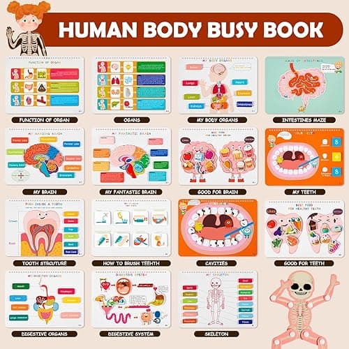 Freebear Montessori Busy Book for Kids, Human Body Anatomy Book for Toddlers, Preshool Kindergarten Learning Activities, Autism Sensory Toys, Travel Toys, Gifts for Girls and Boys 4 5 6 7 8 Years - Human structure 1 thumbnail 2
