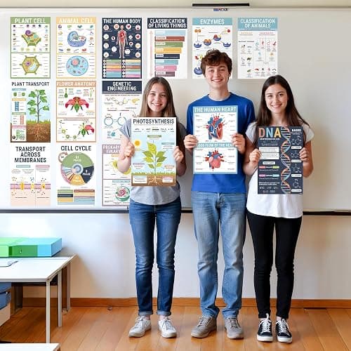 BrightenKidz Biology Posters for Classroom, 15 Pack 11x17 Science Charts | Laminated Educational Biology Charts for Middle & High School - Decor for Hallways, Bulletin Boards, Home Study Room thumbnail 5