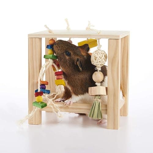 Oxbow Enriched Life Play Table, Rabbit Toys, Guinea Pig Toys, Enrichment for Bunny, Guinea Pig, Hamster, Rabbit, Chinchilla, Rat, Chinchilla Cage Accessories, Small Pet Accessories for Cage thumbnail 4