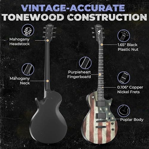 Fesley 39" LP Electric Guitar Kit: Full Size Solid Body Electric Guitars for Beginners with Humbucker Pickups,Poplar Body,Mahogany Neck,22 Frets,6 String Guitar with Gig Bag, FLP400,Matte,US Flag thumbnail 2