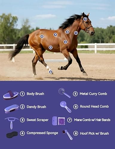 Furrishine 9PCS Horse Grooming Kit Curry Comb Sweat Scraper Horse Bathing Supplies Grooming Tools with Storage Bag Sugar Taro thumbnail 2