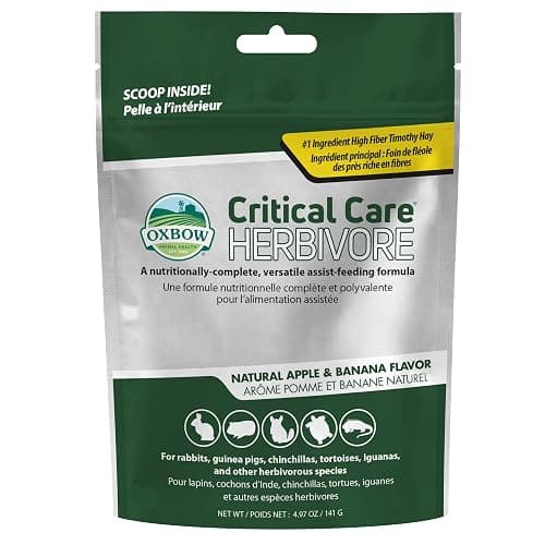 Oxbow Critical Care Herbivore, Emergency Guinea Pig Food, Rabbit Food for Recovery, Natural Apple Banana Flavor, Critical Care for Guinea Pig Emergency Kit, Made in USA, 141 Grams - Image 1