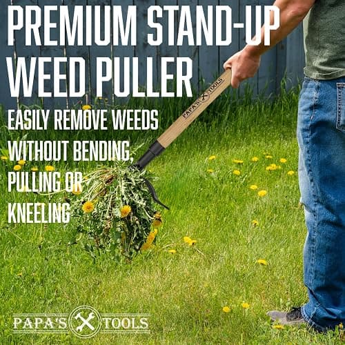 Papa's Tools Weeder - Stand Up Weed Puller Tool Made with Long Wooden Handle - Real Bamboo & 4-Claw Steel Head - Easily Remove Weeds Effortlessly Without The Need to Tug, Bend, Or Flex, thumbnail 4