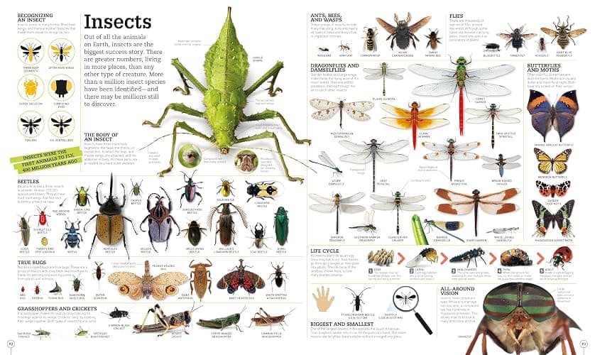 Picturepedia, Second Edition: An Encyclopedia on Every Page thumbnail 5