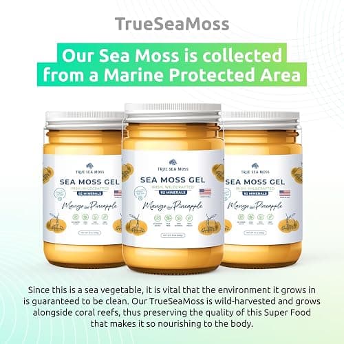 TrueSeaMoss Wildcrafted Irish Sea Moss Gel –7 Flavors- Nutritious Raw Seamoss Rich in Minerals, Proteins & Vitamins – Antioxidant Health Sea Moss, Vegan Made in USA (MANGO/PINEAPPLE, 1) - MANGO/PINEAPPLE - 16 Fl Oz (Pack of 1) thumbnail 7