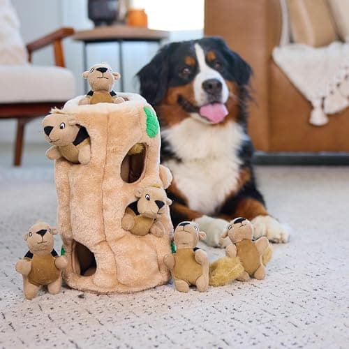 Outward Hound Hide A Squirrel Plush Dog Toy Puzzle, XL thumbnail 6