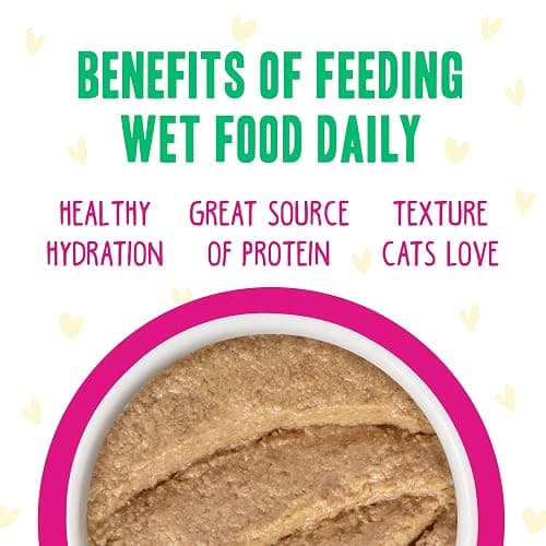 Weruva B.F.F. Play - Best Feline Friend Paté Lovers, Aw Yeah!, Chicken, Duck & Turkey Take a Chance with Chicken, Duck & Turkey, 5.5oz Can (Pack of 8) thumbnail 5