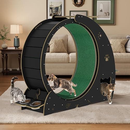 MilleLoom 4-in-1 Cat Running Wheel, Large Cat Treadmill,Large Quiet Exercise Wheel with Scratching Pad & Play Roller,Stable Wood Base for Indoor Cats thumbnail 7