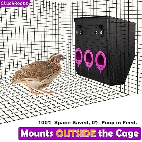 CluckRoots No Waste Quail Feeder, 3 x 1.5'' Ports for Adult Coturnix Quail | Outside-Hanging Metal Feeder for Wire Cages Hutch Pen to Save Space, No Spill No Mess for Japanese Jumbo Pharaoh Quail thumbnail 2