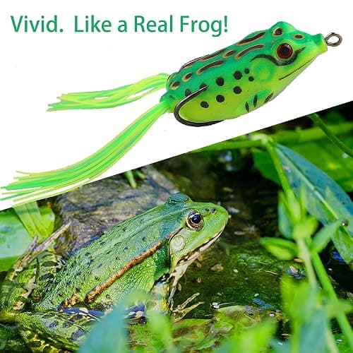 5Pcs Topwater Frog Lures Sets with Bait Box, Frog Lure Ray Frog Topwater Fishing Crankbait Lures, Frog Artificial Soft Bait for Bass Snakehead, Weedless Freshwater Soft Simulated Frog Bait thumbnail 2
