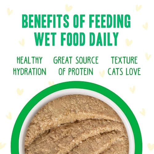 Weruva B.F.F. Play - Best Feline Friend Paté Lovers, Aw Yeah!, Chicken & Lamb Laugh Out Loud with Chicken & Lamb, 5.5oz Can (Pack of 8) thumbnail 5