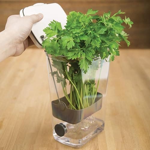 Progressive International PKS-930 BPA-Free Plastic ProKeeper Herb Keeper with Removable Silicone Drain Plug, 1 Piece, White thumbnail 5