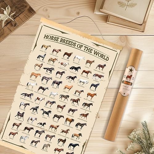 EIHFHIE Horse Gifts for Girls Horse Poster Horse Knowledge Horse Breeds of The World Poster Horse Pictures Wall Decor Gifts for Horse Lovers 16x25 In thumbnail 5