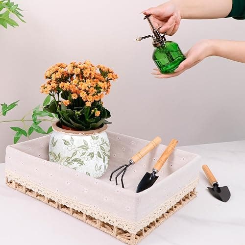 Dosayes Ceramic Pot for Planter, Vintage Flower Pot with Drainage Holes, 6.29 inch Ice Crack Glazed Indoor Planters Pot (Vintage) thumbnail 2