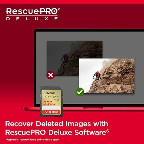 SANDISK 256GB Extreme SDXC UHS-I Memory Card - C10, U3, V30, 4K, UHD, SD Card - SDSDXVV-256G-GNCIN thumbnail 6