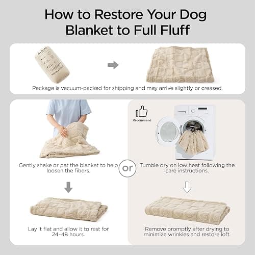 Bedsure Dog Blanket for Small Dogs Washable - Fluffy Fuzzy Puppy Cat Blanket with Premium 300GSM Coral Fleece Soft for Pet Kitten Doggy, Green, 25x35IN thumbnail 6